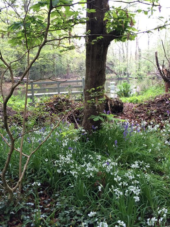 Red River Stables - Peaceful, Beautiful Grounds, Swimming Pool, Central Location For West Cornwall 캠본 외부 사진